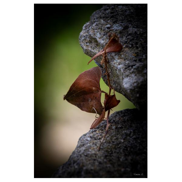 PHOTO84, CLUB, 84 , LUBERON